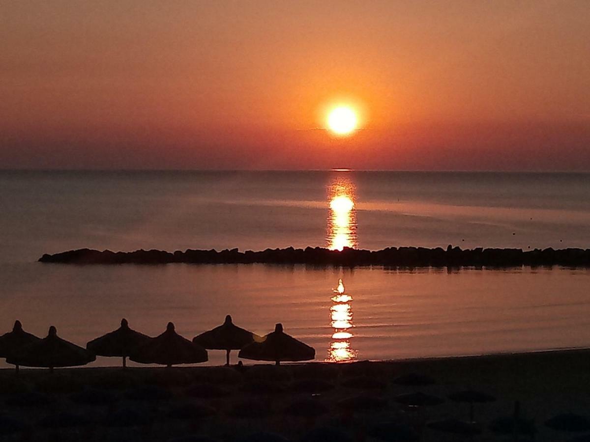 Appartamento Alba Rosa Francavilla Al Mare Exteriör bild