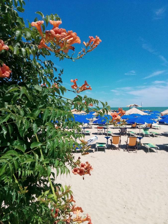 Appartamento Alba Rosa Francavilla Al Mare Exteriör bild